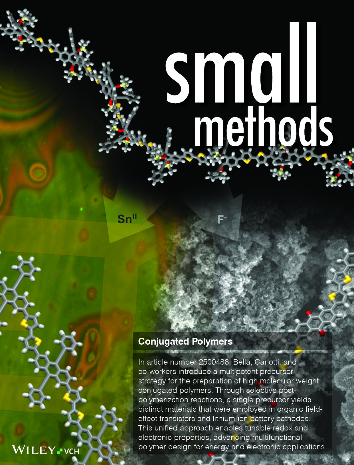 437) B. Bertoncini et al., Small Methods 9 (2025) art. no. 2500488-01